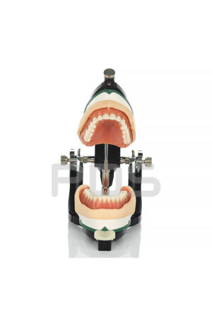 Keystone 1050085 - Luxury Deluxe Articulator